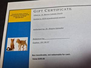 lot 7 image: Gift Certificate $250 Clearwater Animal Hospital