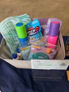 lot 20 image: Summer Fun basket