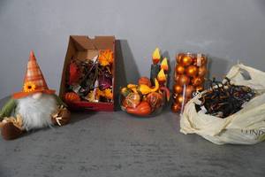 lot 245 image: Halloween lights, bulbs, decorations