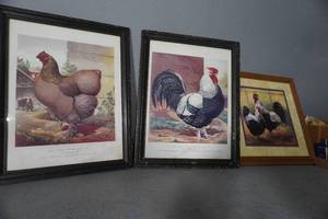 lot 77 image: Three pictures of Chickens
