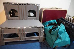 lot 330 image: Folding step stool, suitcase, bags