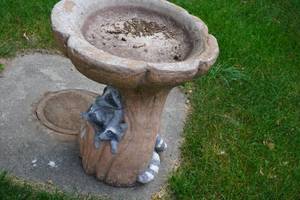 lot 365 image: Concrete Bird bath (bring help to load)